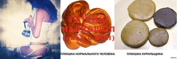 шишки Белокуриха