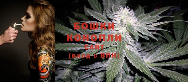 шишки Белокуриха