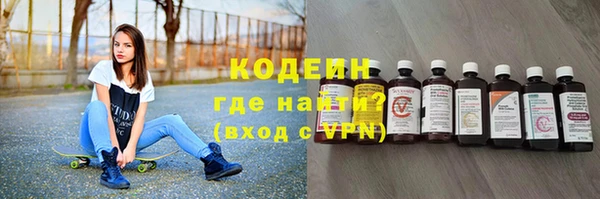 шишки Белокуриха