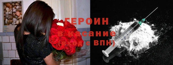 шишки Белокуриха